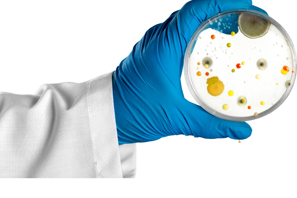 iso 7218 990 x 660 Atualizações da ISO 7218: Impactos nas análises de alimentos