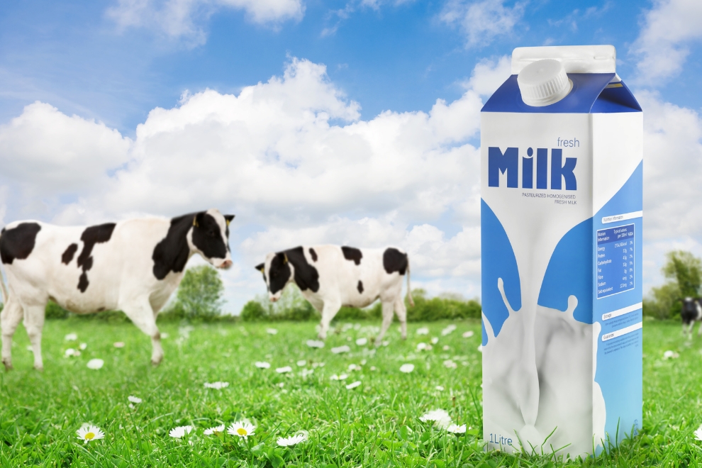 Estabilidade de Produtos Lacteos 1 Como Avaliar a Estabilidade de Produtos Lácteos