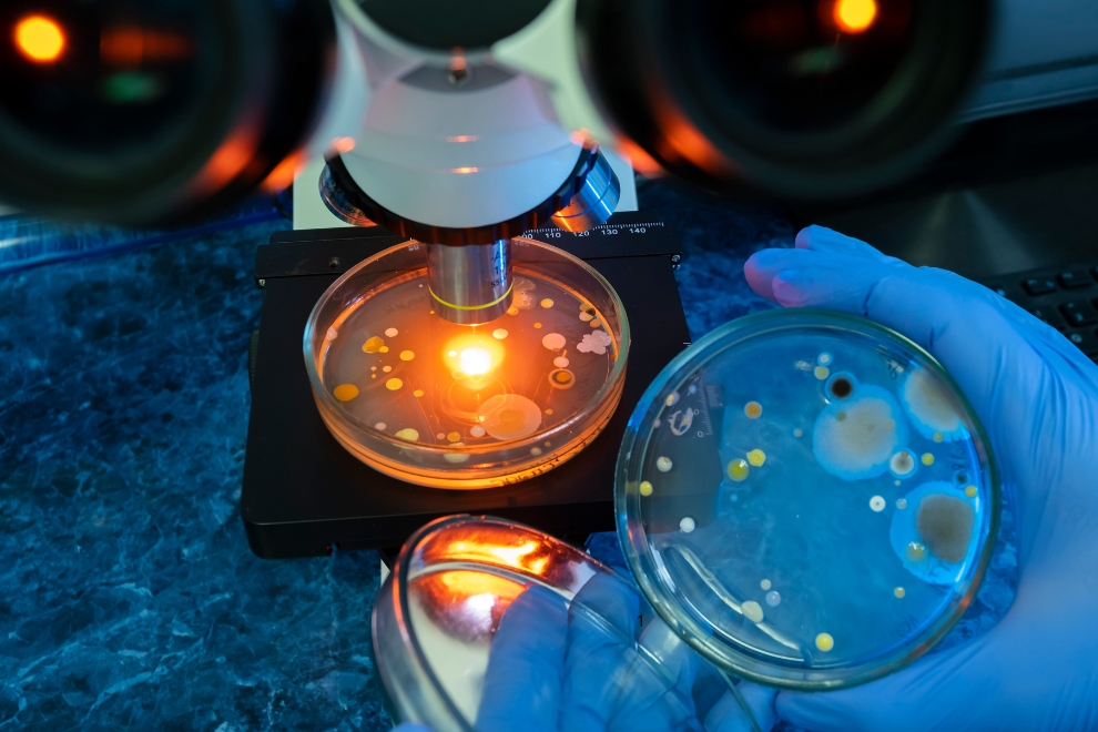 Laboratorio fisico quimico x microbiologico diferencas 1 Laboratório físico-químico x microbiológico: diferenças