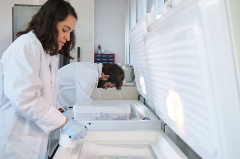 Para que serve um ultrafreezer -86 °C no laboratório